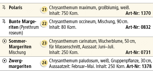 ￼,Polaris,￼,Chrysanthemum maximum, gro blumig, wei . Inhalt: 750 Korn. Art Nr: 1370,￼,Bunte Margeriten (Pyrethrum ros...